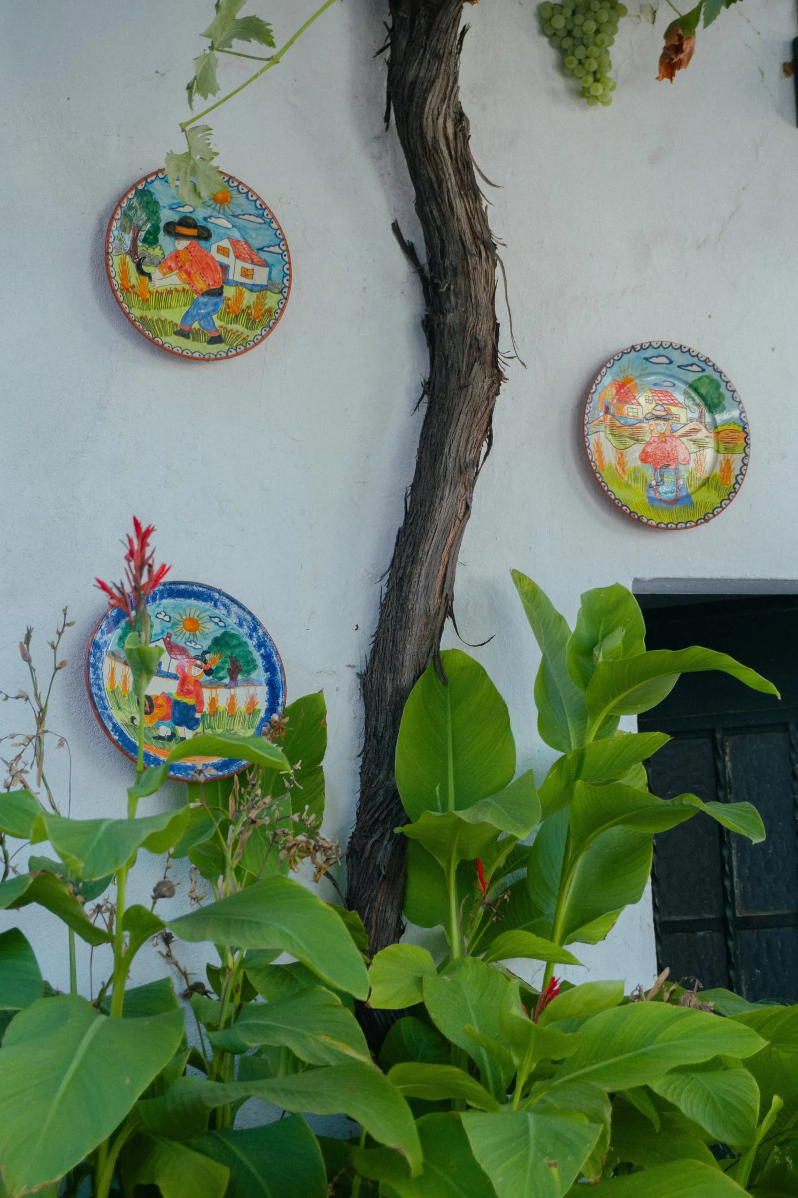 Platos pintados en la pared encalada
