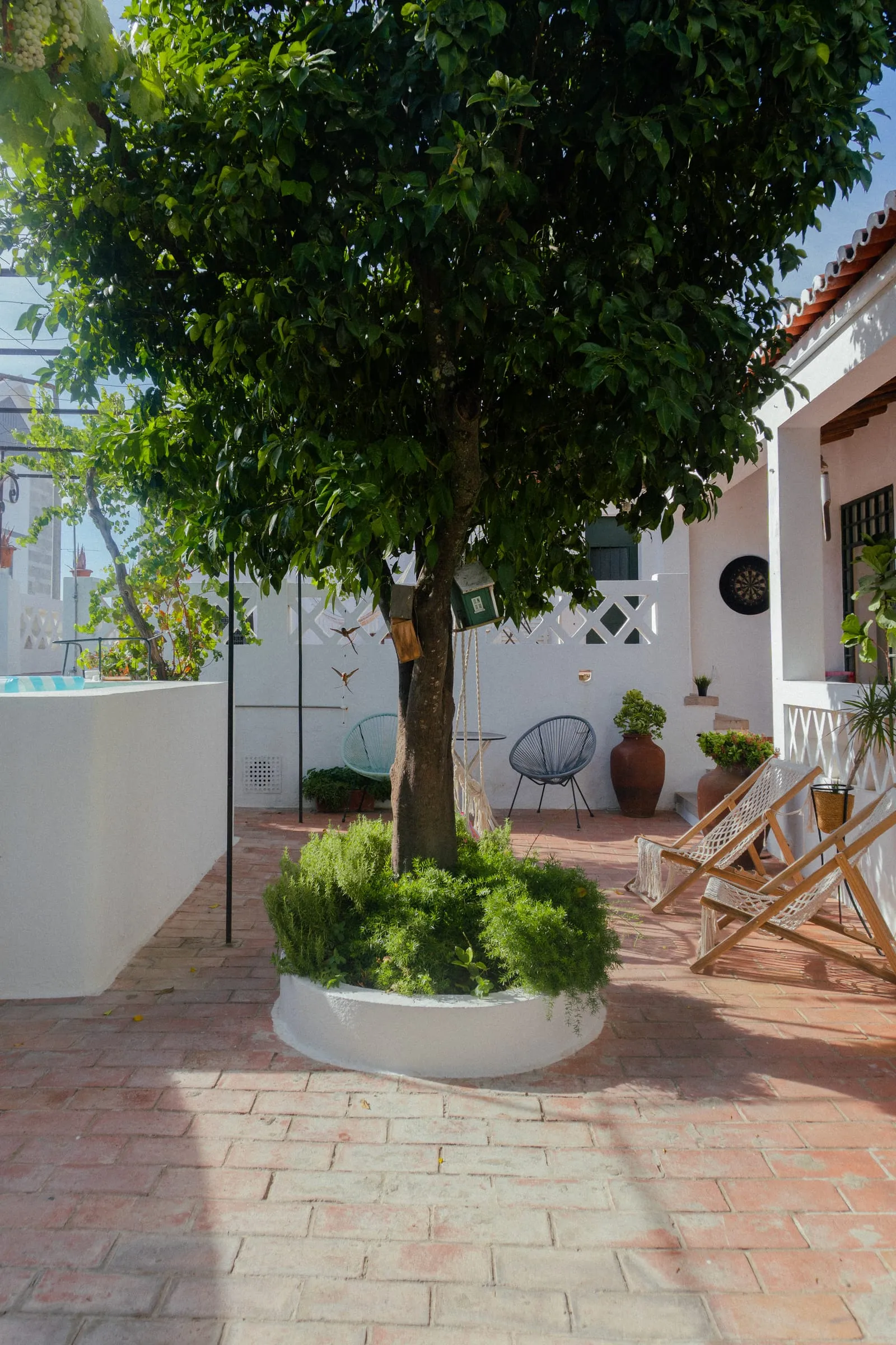 El naranjo en el centro del patio